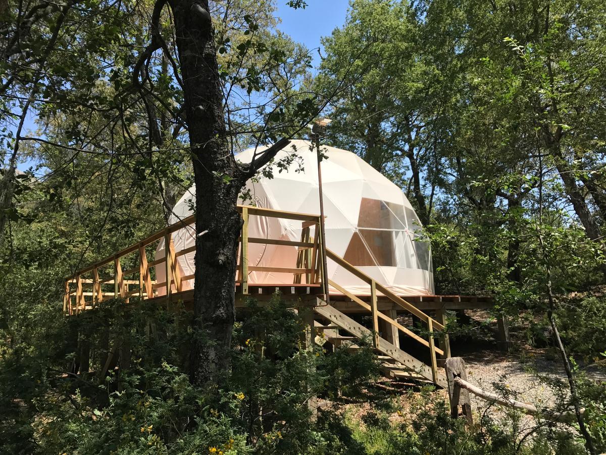 Glamping Domos Treepod Hotel Las Trancas Buitenkant foto